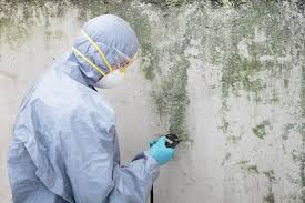 Best Industrial Mold Remediation  in Emigsville, PA